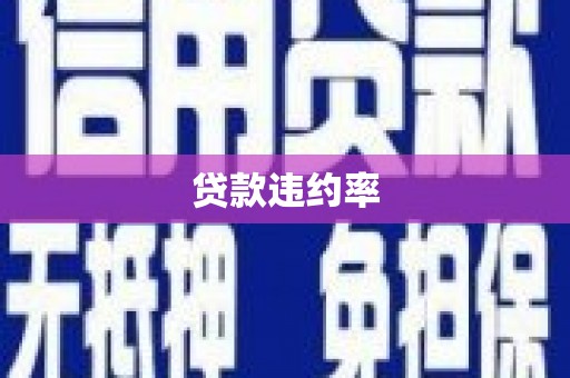 泌阳贷款违约率