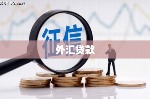 泌阳外汇贷款