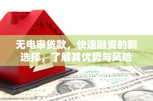 泌阳无电审贷款，快速融资的新选择，了解其优势与风险