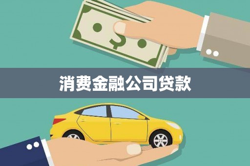 泌阳消费金融公司贷款