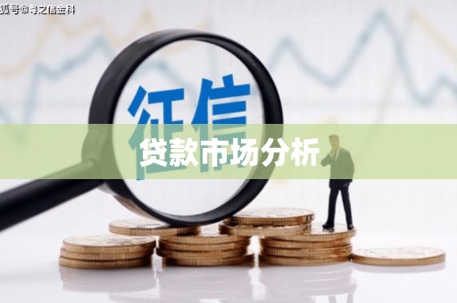 泌阳贷款市场分析