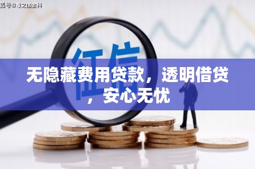 泌阳无隐藏费用贷款，透明借贷，安心无忧