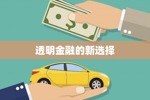 泌阳透明金融的新选择