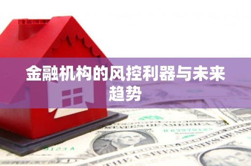 泌阳金融机构的风控利器与未来趋势