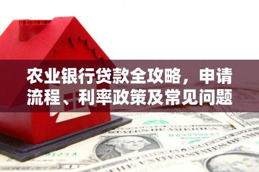 泌阳农业银行贷款全攻略，申请流程、利率政策及常见问题解析