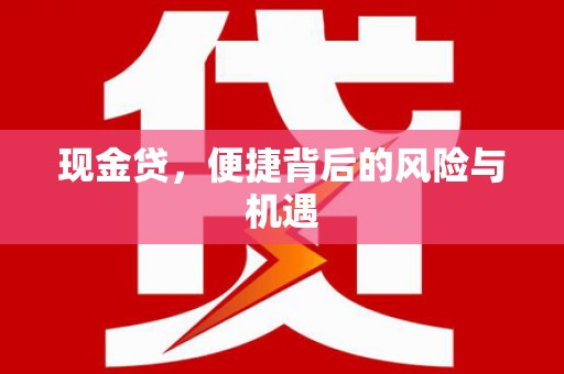 泌阳现金贷，便捷背后的风险与机遇