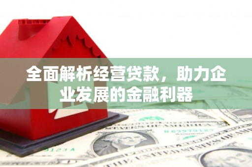 泌阳全面解析经营贷款，助力企业发展的金融利器