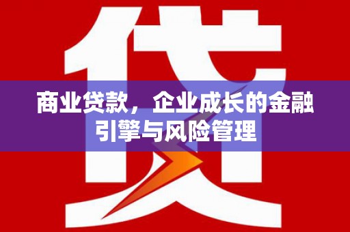 泌阳商业贷款，企业成长的金融引擎与风险管理
