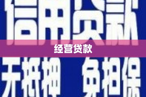 泌阳经营贷款