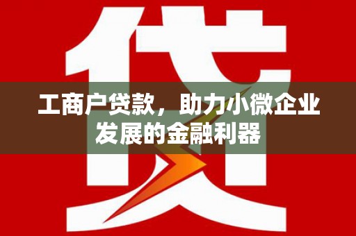 泌阳工商户贷款，助力小微企业发展的金融利器