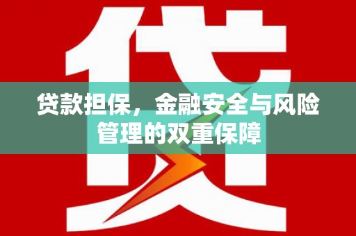泌阳贷款担保，金融安全与风险管理的双重保障
