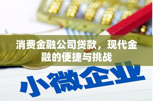 泌阳消费金融公司贷款，现代金融的便捷与挑战