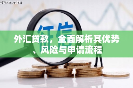 泌阳外汇贷款，全面解析其优势、风险与申请流程