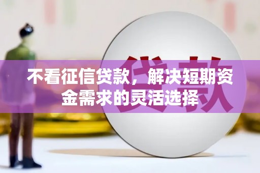 泌阳不看征信贷款，解决短期资金需求的灵活选择