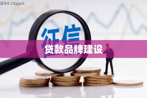 泌阳贷款品牌建设