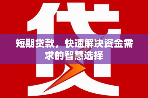 泌阳短期贷款，快速解决资金需求的智慧选择