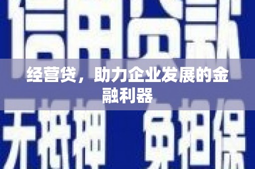 泌阳经营贷，助力企业发展的金融利器