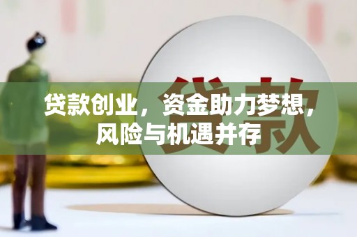 泌阳贷款创业，资金助力梦想，风险与机遇并存