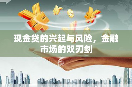 泌阳现金贷的兴起与风险，金融市场的双刃剑