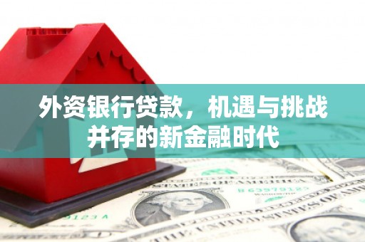 泌阳外资银行贷款，机遇与挑战并存的新金融时代