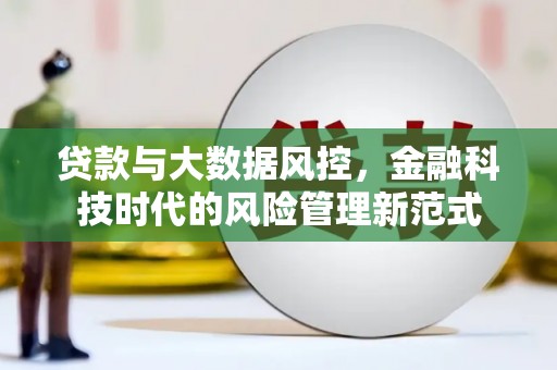 泌阳贷款与大数据风控，金融科技时代的风险管理新范式