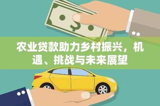 泌阳农业贷款助力乡村振兴，机遇、挑战与未来展望