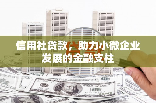 泌阳信用社贷款，助力小微企业发展的金融支柱