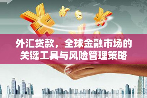 泌阳外汇贷款，全球金融市场的关键工具与风险管理策略