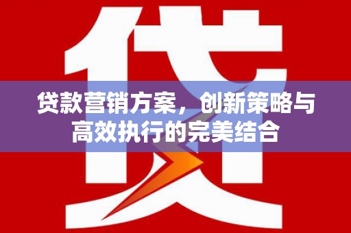 泌阳贷款营销方案，创新策略与高效执行的完美结合