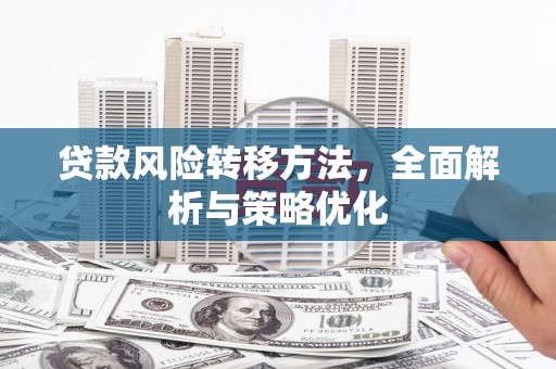泌阳贷款风险转移方法，全面解析与策略优化