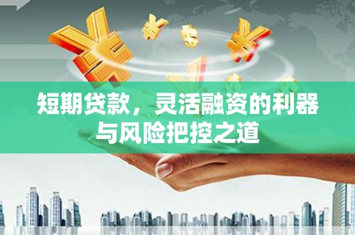 泌阳短期贷款，灵活融资的利器与风险把控之道