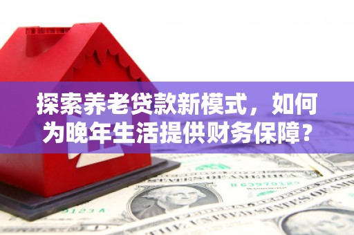 泌阳探索养老贷款新模式，如何为晚年生活提供财务保障？