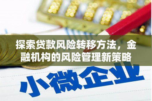泌阳探索贷款风险转移方法，金融机构的风险管理新策略