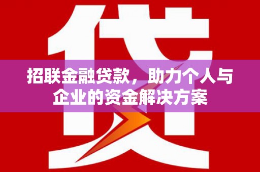 泌阳招联金融贷款，助力个人与企业的资金解决方案