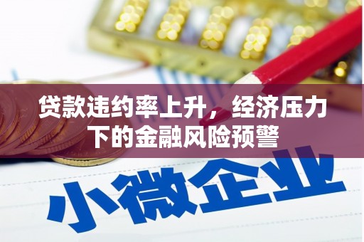 泌阳贷款违约率上升，经济压力下的金融风险预警