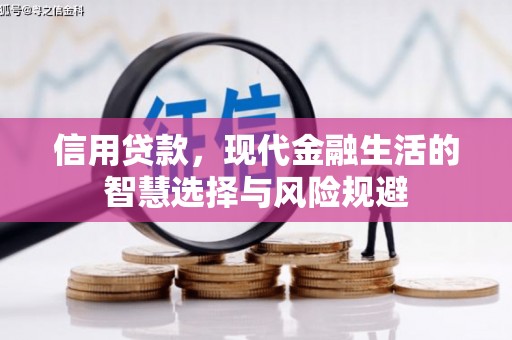 泌阳信用贷款，现代金融生活的智慧选择与风险规避