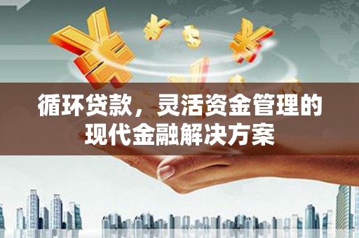 泌阳循环贷款，灵活资金管理的现代金融解决方案