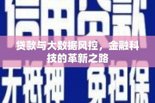 泌阳贷款与大数据风控，金融科技的革新之路
