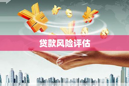 泌阳贷款风险评估