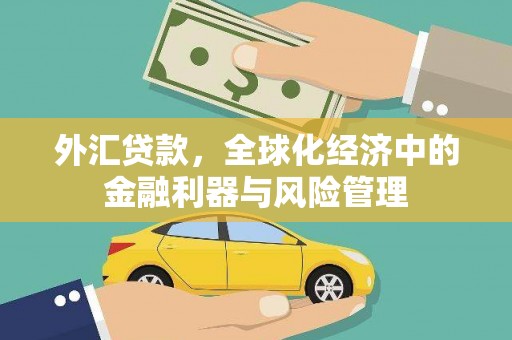 泌阳外汇贷款，全球化经济中的金融利器与风险管理
