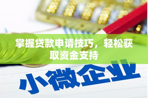 泌阳掌握贷款申请技巧，轻松获取资金支持
