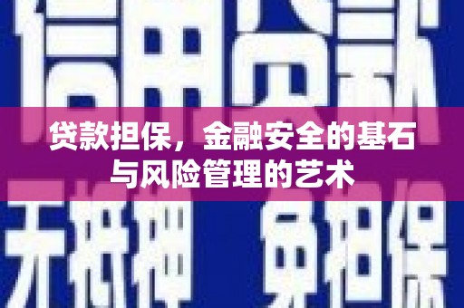 泌阳贷款担保，金融安全的基石与风险管理的艺术