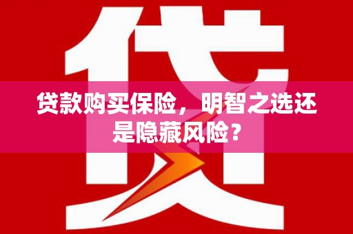 泌阳贷款购买保险，明智之选还是隐藏风险？