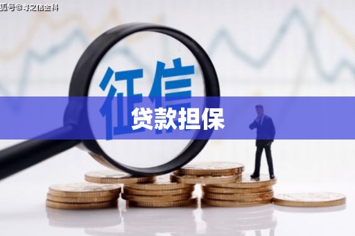 泌阳贷款担保
