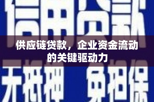 泌阳供应链贷款，企业资金流动的关键驱动力