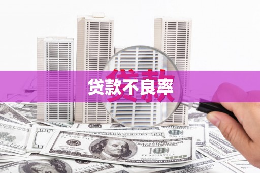 泌阳贷款不良率