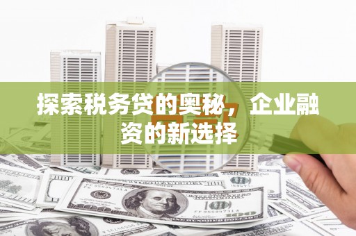 泌阳探索税务贷的奥秘，企业融资的新选择