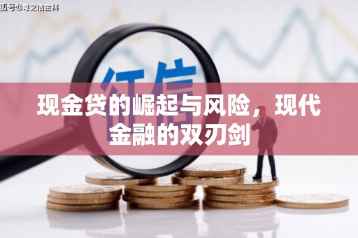 泌阳现金贷的崛起与风险，现代金融的双刃剑