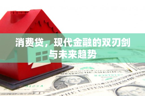 泌阳消费贷，现代金融的双刃剑与未来趋势