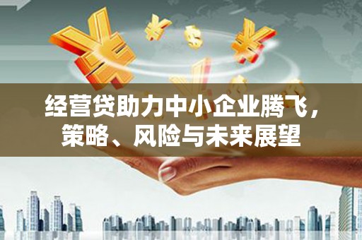 泌阳经营贷助力中小企业腾飞，策略、风险与未来展望